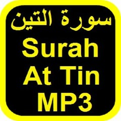 Quran Chapter 95 Surah At Tin in Urdu Translation only