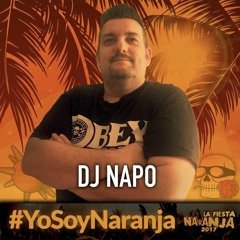 DJ NAPO @ RADICAL FIESTA NARANJA 2017 AREA 42 TOLEDO