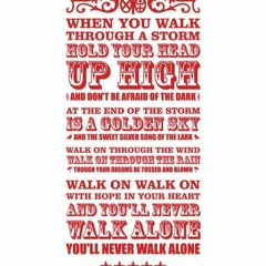 Luuniix (DropYourBrainCrew) (CH) - You'll Never Walk Alone!