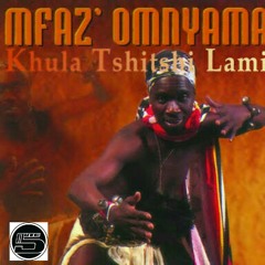 5mute(dB)- Tshitshi Lam' (Flip)