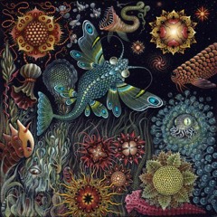 Burning Straight Playground [Psytrance Set selected & mixed by MinatriX][WAV DOWNLOAD]