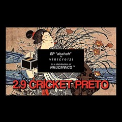 cricket preto [ prod. v i n i c r e i z i ]