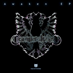Counterstrike - Entity