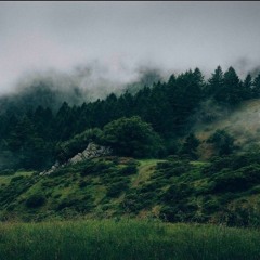 Life of Mars (@Fatbellybella)