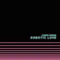 Robotic Love