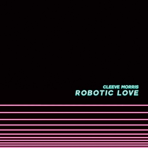 Robotic Love