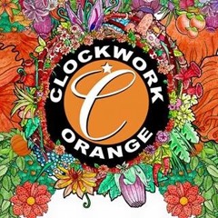 BRANDON BLOCK @ CLOCKWORK ORANGE at WEARE FEST 2017