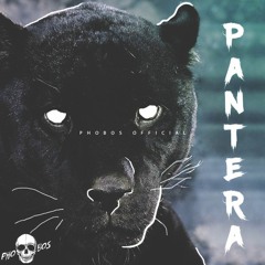 Pantera (Original Mix)