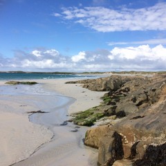 Traditional Set: Leila's Birthday/Up Downey/Dot the Dragon's Eyes