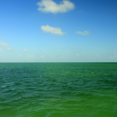 Khyng Jay - Swimming in Envy (ft. ChaKuda)