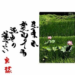 102 大きな玉ねぎの下で