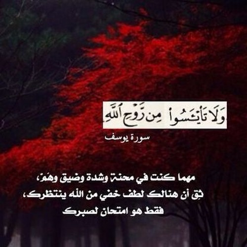Sh. Bandar balila ‖ Surat Yusuf ‖ Yûsuf Suresi ‖ الشيخ بندر بليلة ‖ سُورة يوسف