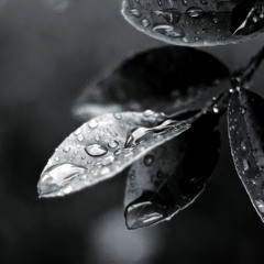 Open/Expanding Awareness Meditation- LTownshend