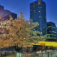 桜ヶ丘に吹くあの夏風のように１