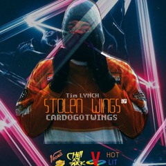 STOLEN WINGS (PROD. BY CARDOGOTWINGS)