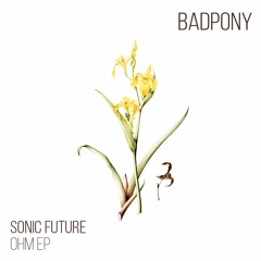 PREMIERE: Sonic Future - Stances (Original Mix)[Bad Pony Records]