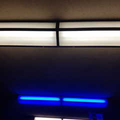 Pretending- Julien Beillard