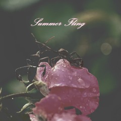 Summer Fling (ft. Cash)