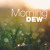 Artwork for Morning Dew