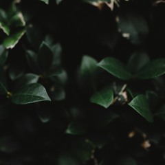 A song for days of trouble - Elisabeth Harder