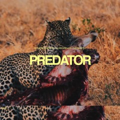 PREDATOR - (ASSOC. RAGINGAPE)