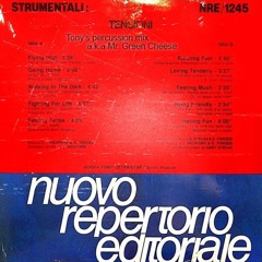 Stefano Torossi - Flying High & Going Home (Tony Baker Percussion Remix)