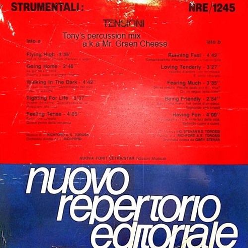 Stefano Torossi - Flying High & Going Home (Tony Baker Percussion Remix)