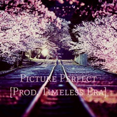 Picture Perfect [Prod. Timeless Era]