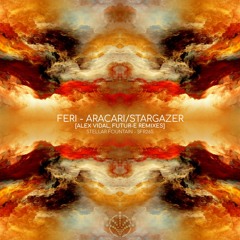 Feri - Aracari (Alex Vidal Remix)