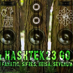 Stefan Kierewiet Hashtek23 @ Pindakaas & Hashtek23 Soundsystem Go Wild - 16-06-2017 @ Pip - Den Haag