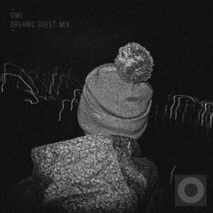 Owl - Organic Guest Mix