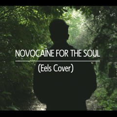 Novocaine for the Soul (Eels Cover)