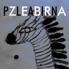 Plain Zebra - 'In The Town'