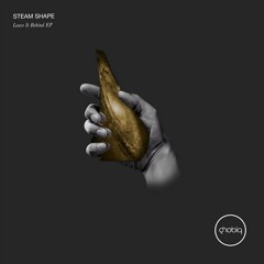 Steam Shape - Sunbow (Original Mix) [Phobiq]