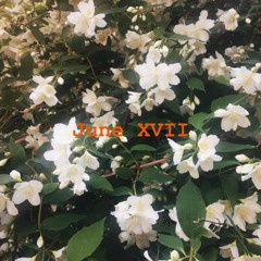 June XVII
