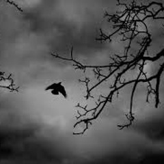 Tryna Fly ( Produced By Miss U )