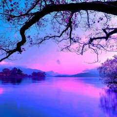 Steven L. - Purple Sunset #LiPTeKk