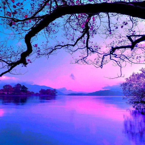 Steven L. - Purple Sunset #LiPTeKk