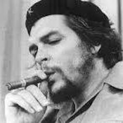 Mohsen Namjoo - Che Guevara