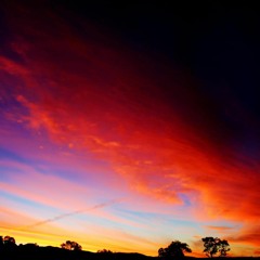 Summer Moon - Melodic Flute Dubstep - Free Background Music