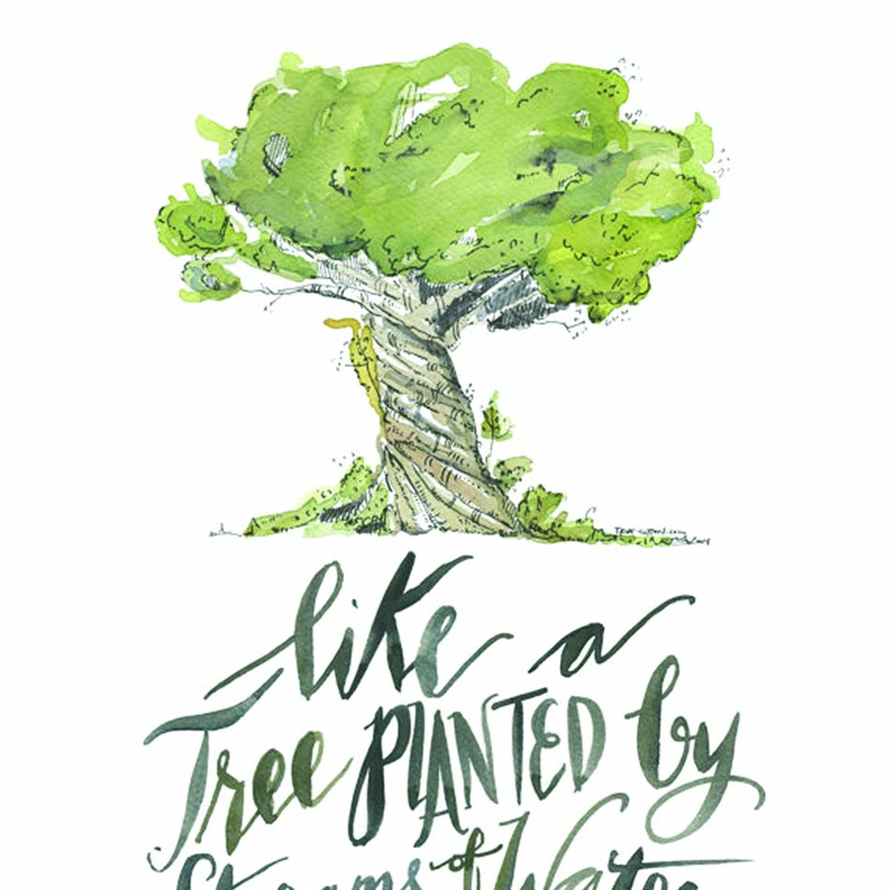 Salvation Belongs To The Lord - Psalm 3- 6-18 -2017 - Summer With The Psalms episode artwork