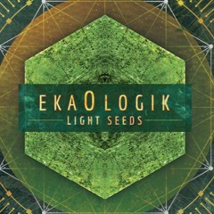 EKAOLOGIK - Ninghizida [ Single From New Album "Light Seeds" ]