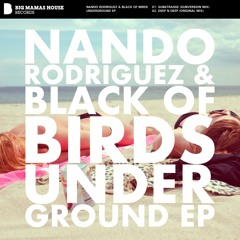 Nando Rodriguez - Deep N Deep