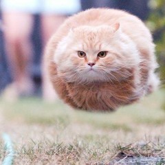 Running