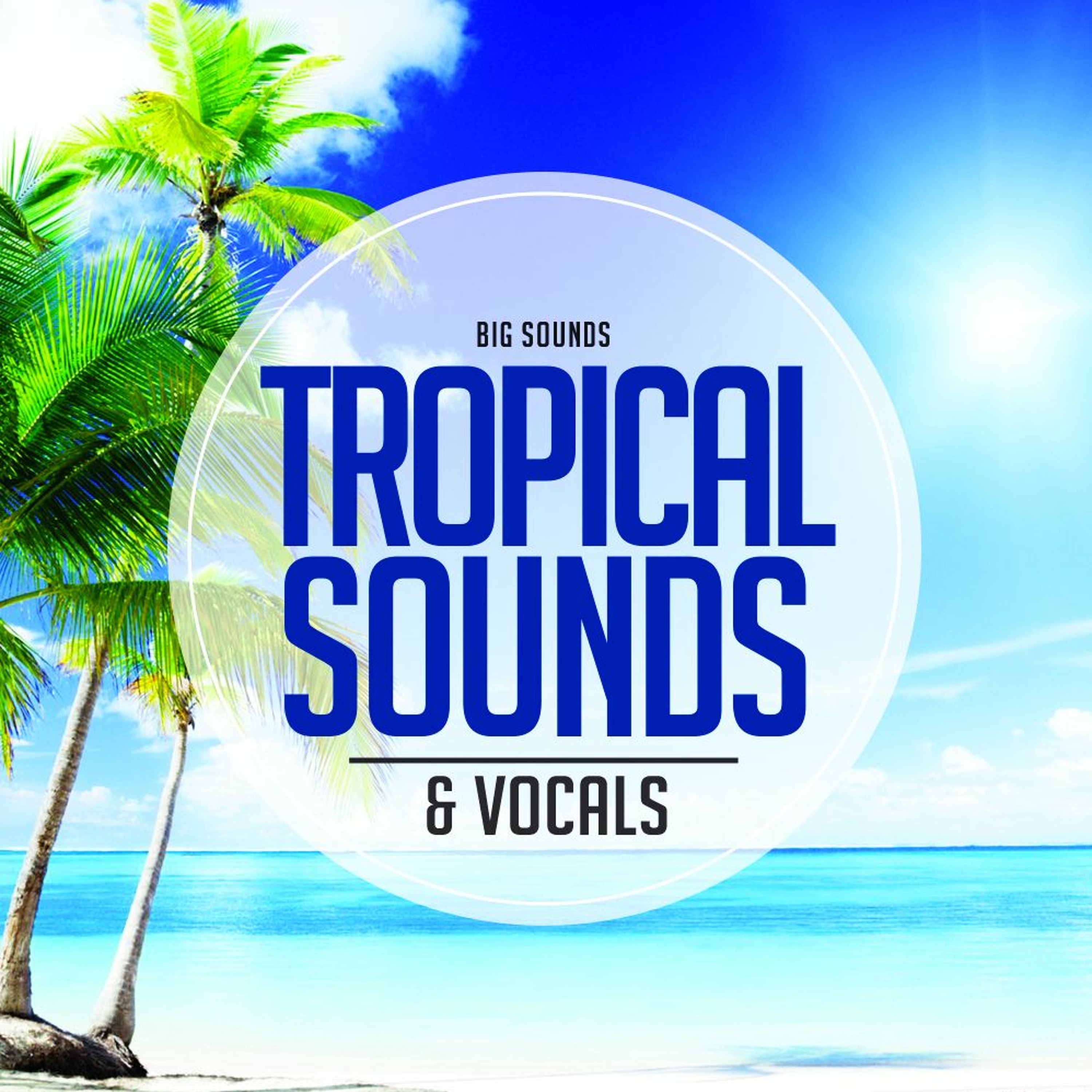 Big Sounds Tropical Sounds & Vocals[Sample Pack/Vocals/Midi Files/Loops] episode artwork