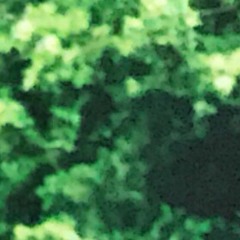 muy tranquilo x tennis court