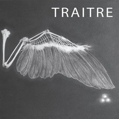 Traitre - Je M'emmerde Mastered