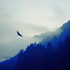 Alan Walker & M5H - Be Brave [NCN Release]