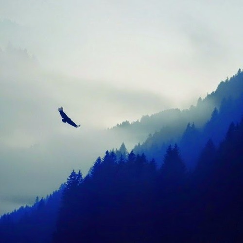 Alan Walker & M5H - Be Brave [NCN Release]