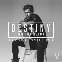 David Thulin & Euphoric Nation feat. Spencer Lloyd - Destiny (Original Mix)